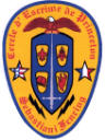 SFA Emblem